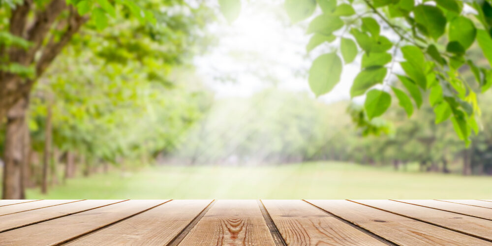 La natura aiuta a guarire