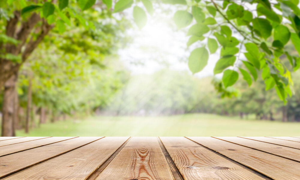 La natura aiuta a guarire