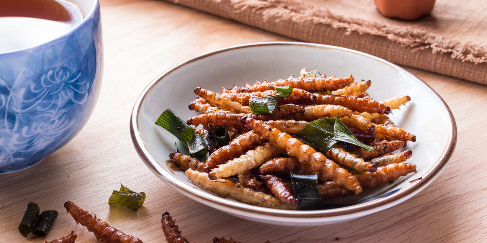 Novel food: cosa mangeremo