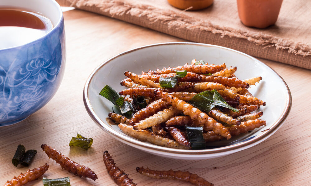 Novel food: cosa mangeremo