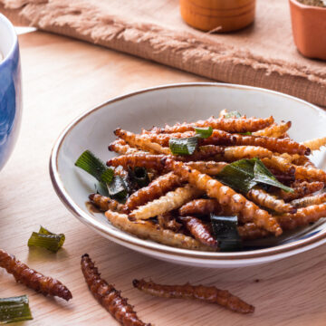 Novel food: cosa mangeremo