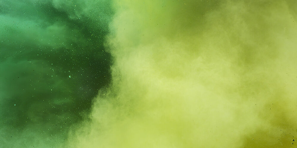 Allarme greenwashing