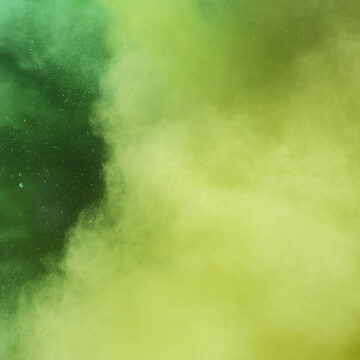 Allarme greenwashing