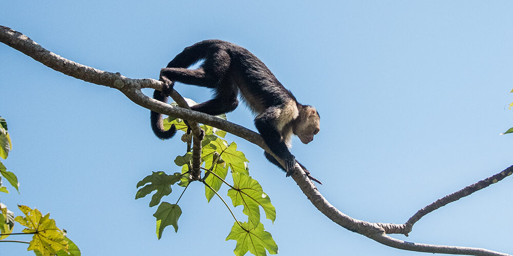 Vivere il presente: una competenza per non perdersi nel futuro