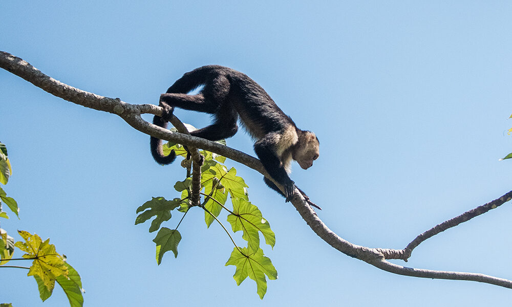 Vivere il presente: una competenza per non perdersi nel futuro