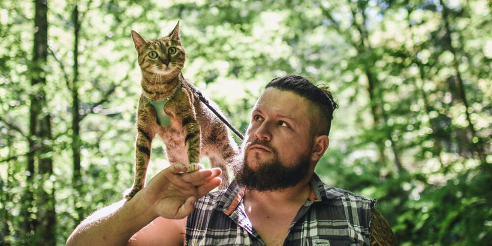 Un gatto per il mondo