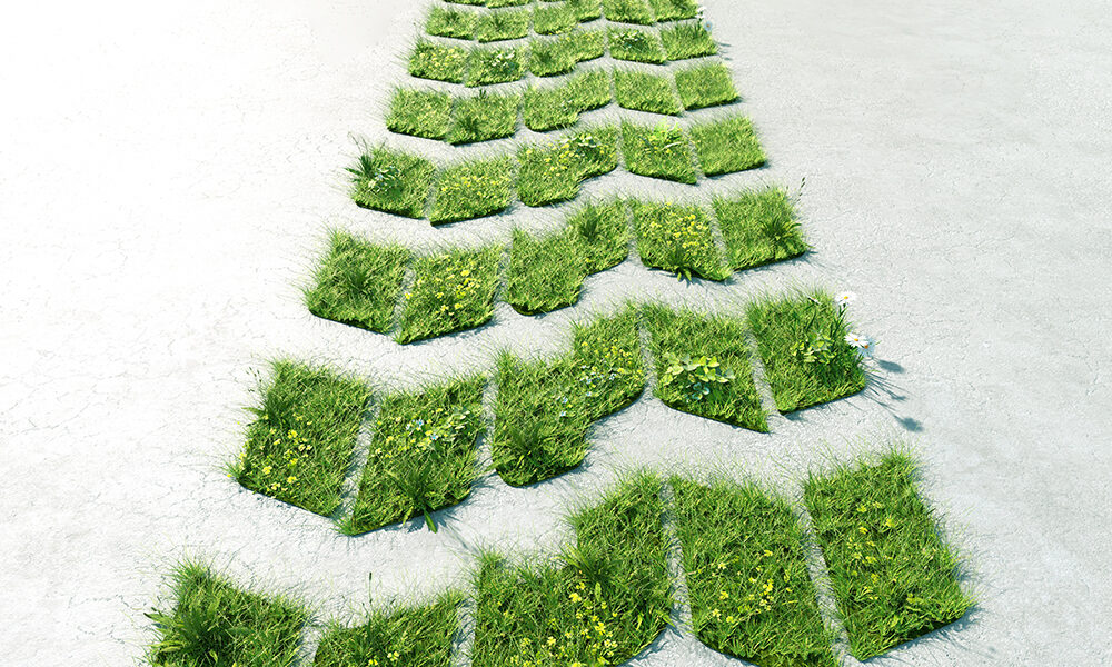 Auto elettrica, ibrida, plug-in: cosa conviene?