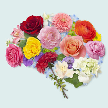 Quanto siamo ecosostenibili?