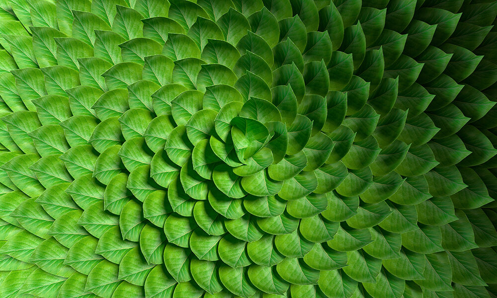 L’ambiente chiede una poltrona in cda