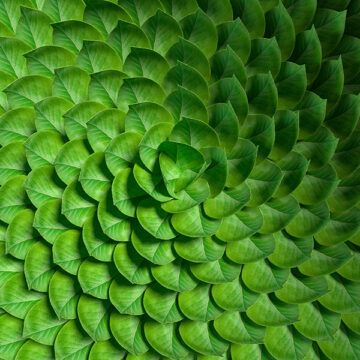 L’ambiente chiede una poltrona in cda