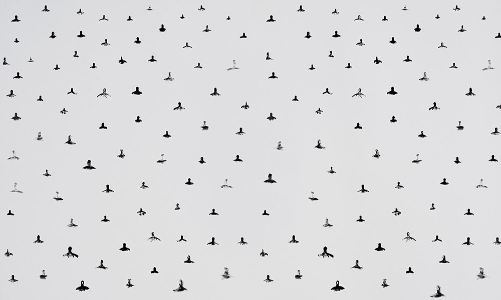 Fase 2: la sharing economy riparte