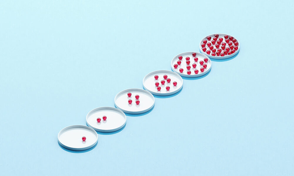 Quando un prodotto è un successo