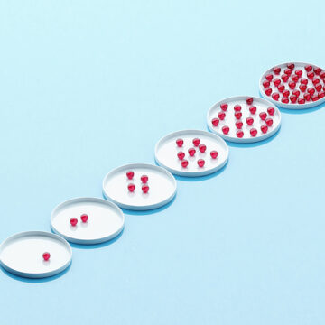 Quando un prodotto è un successo