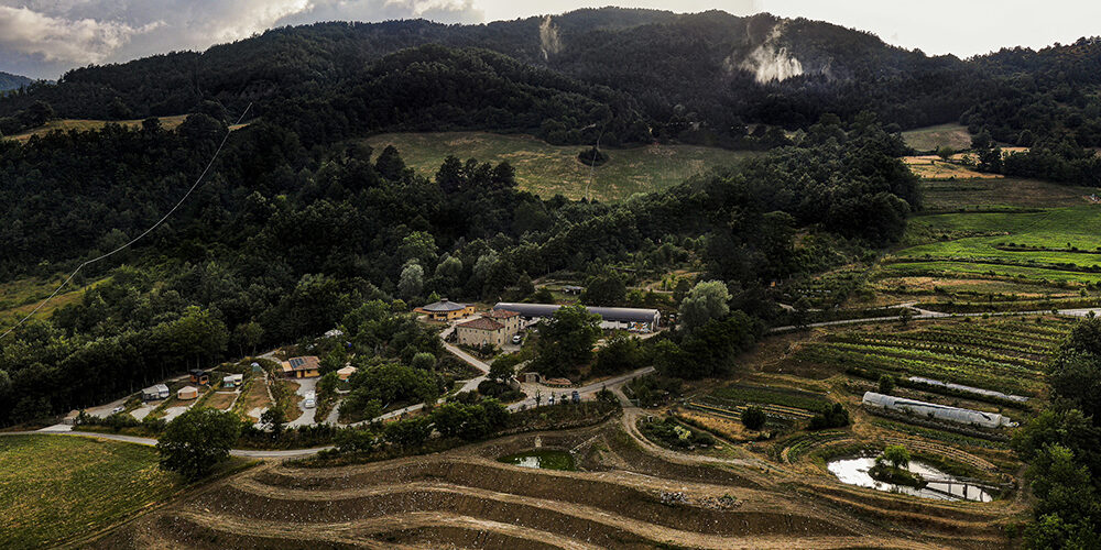 Come creare un business green di famiglia