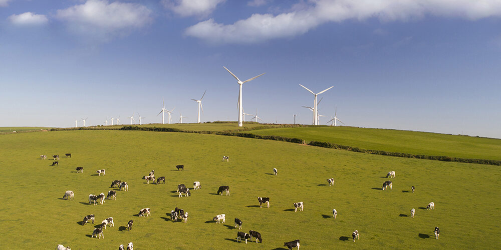 Agroenergia: il futuro sostenibile