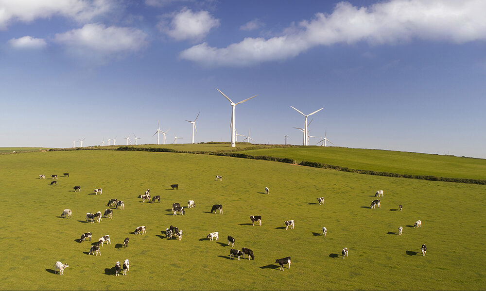 Agroenergia: il futuro sostenibile