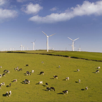 Agroenergia: il futuro sostenibile