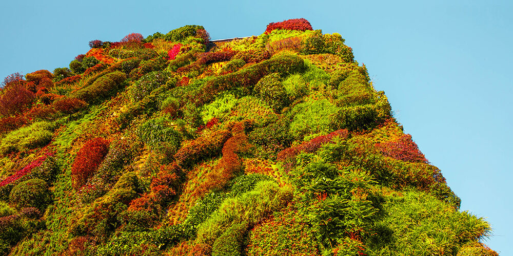 Città, avanguardia della lotta contro l’emergenza climatica