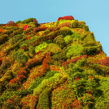 Città, avanguardia della lotta contro l’emergenza climatica