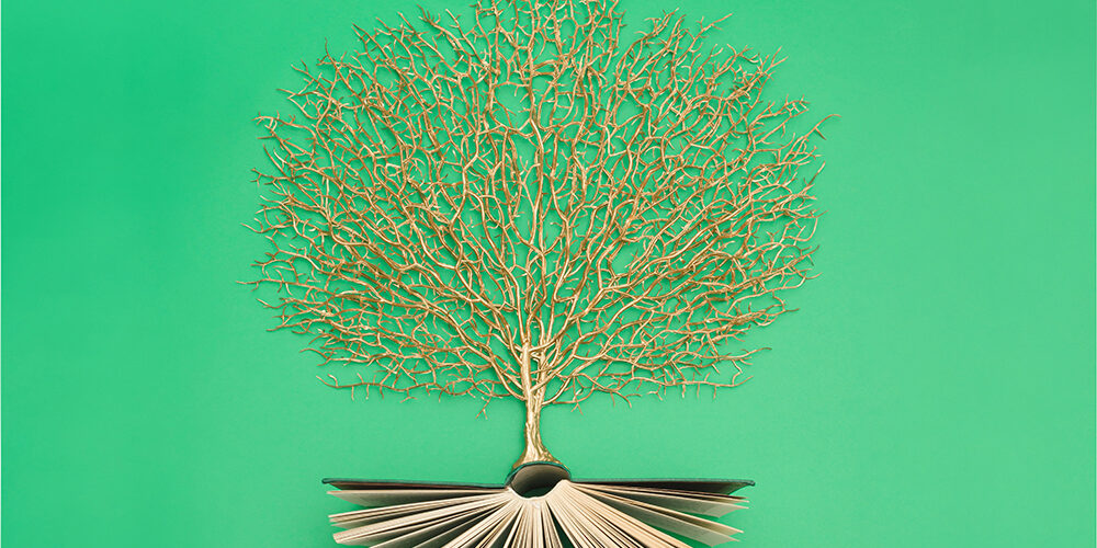 La sostenibilità non va a scuola