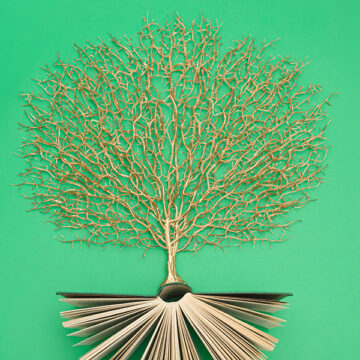 La sostenibilità non va a scuola