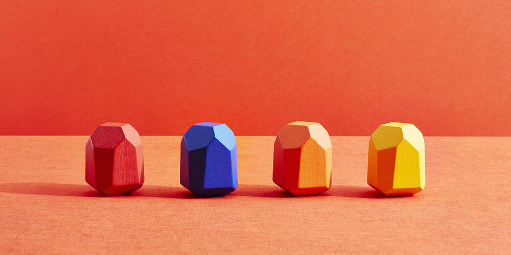 L’inclusione della diversità o l’inclusione nella diversità?