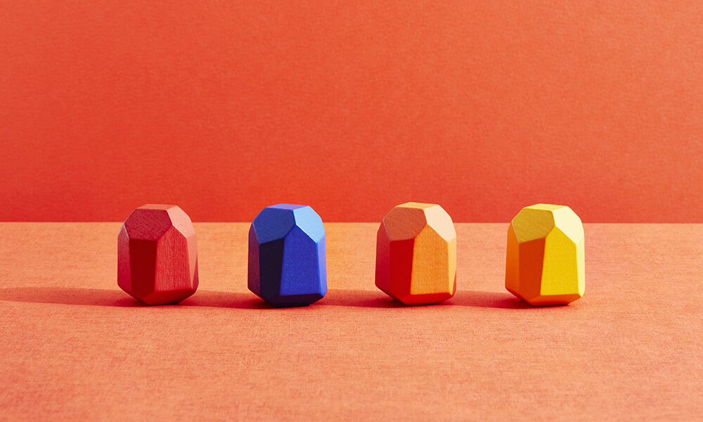 L’inclusione della diversità o l’inclusione nella diversità?