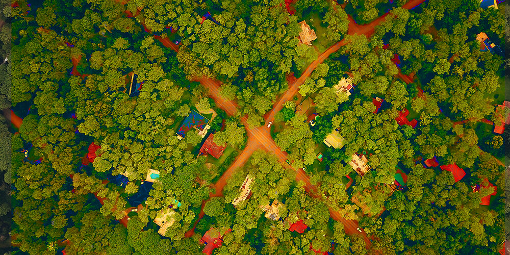 Rilettura del progresso: Metaverso e sostenibilità