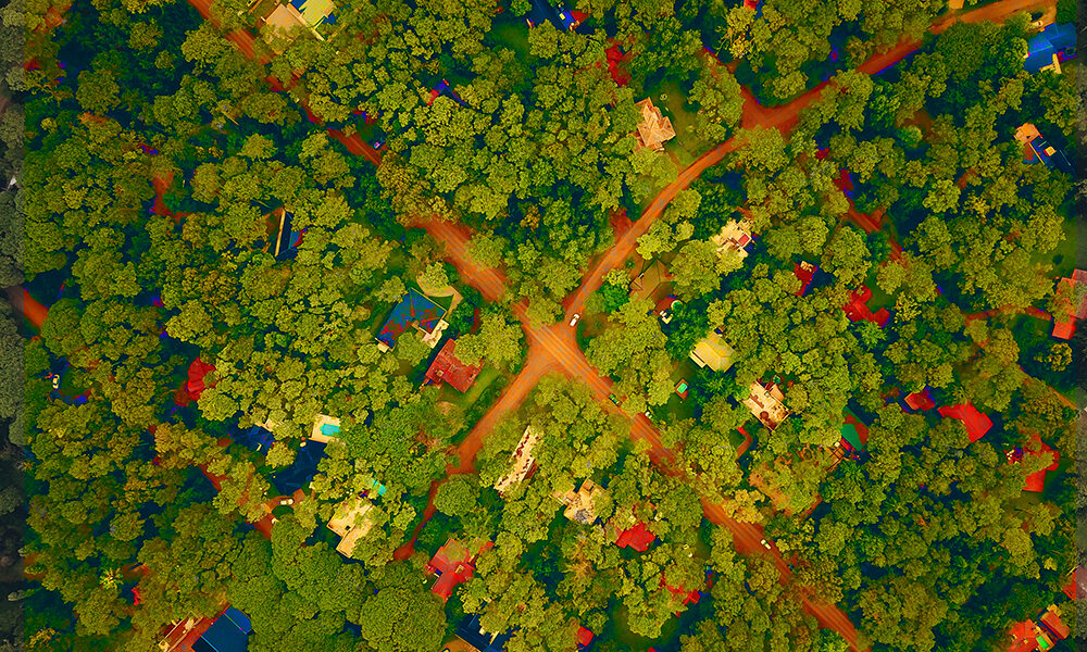 Rilettura del progresso: Metaverso e sostenibilità