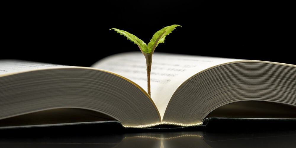 Università «fossil free»: l’appello prende forza