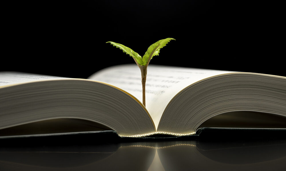 Università «fossil free»: l’appello prende forza