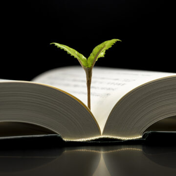 Università «fossil free»: l’appello prende forza