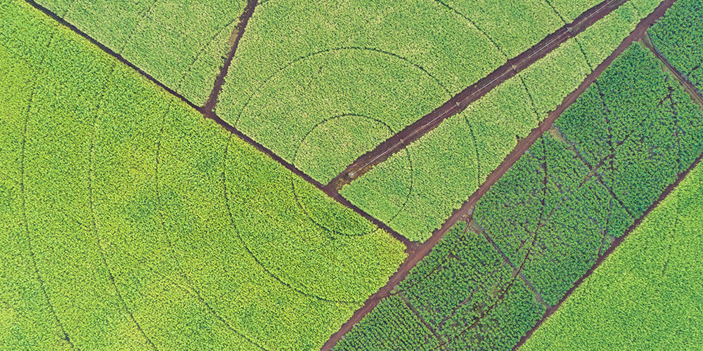 Sostenibilità: quando l’Europa funziona