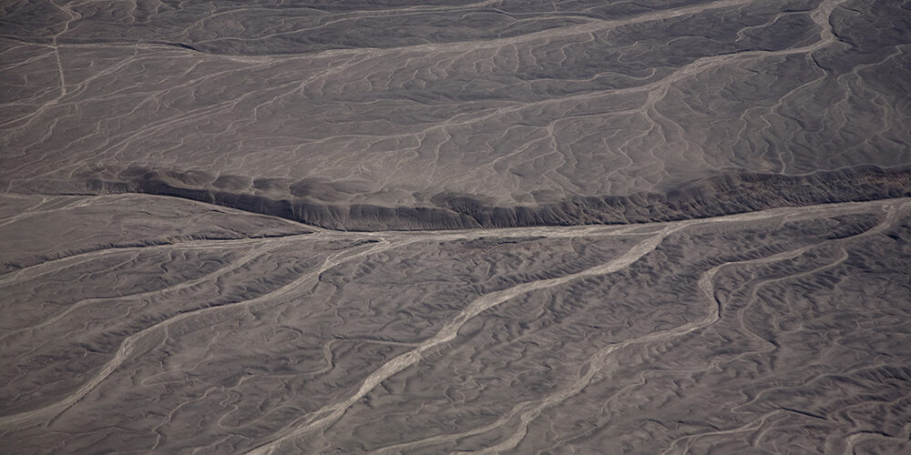 Perché la salute del suolo è vita