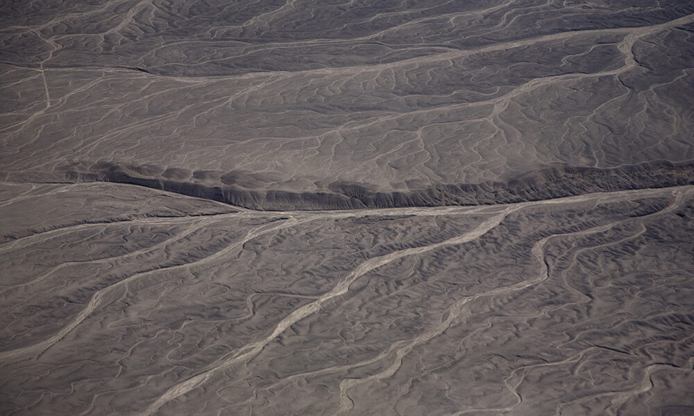 Perché la salute del suolo è vita