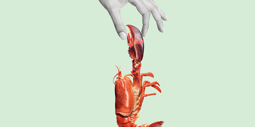 La vulnerabilità è un valore