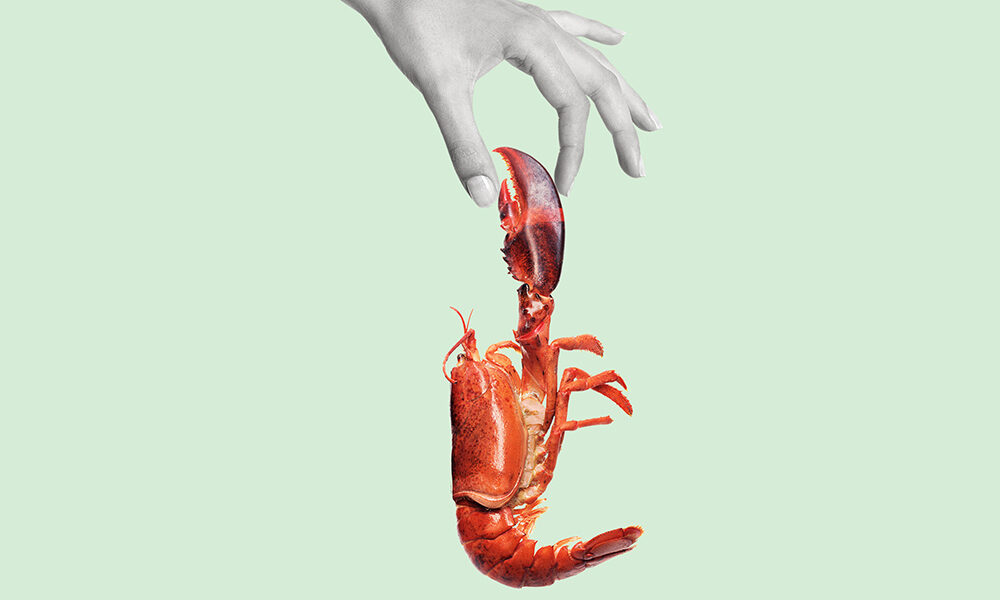 La vulnerabilità è un valore