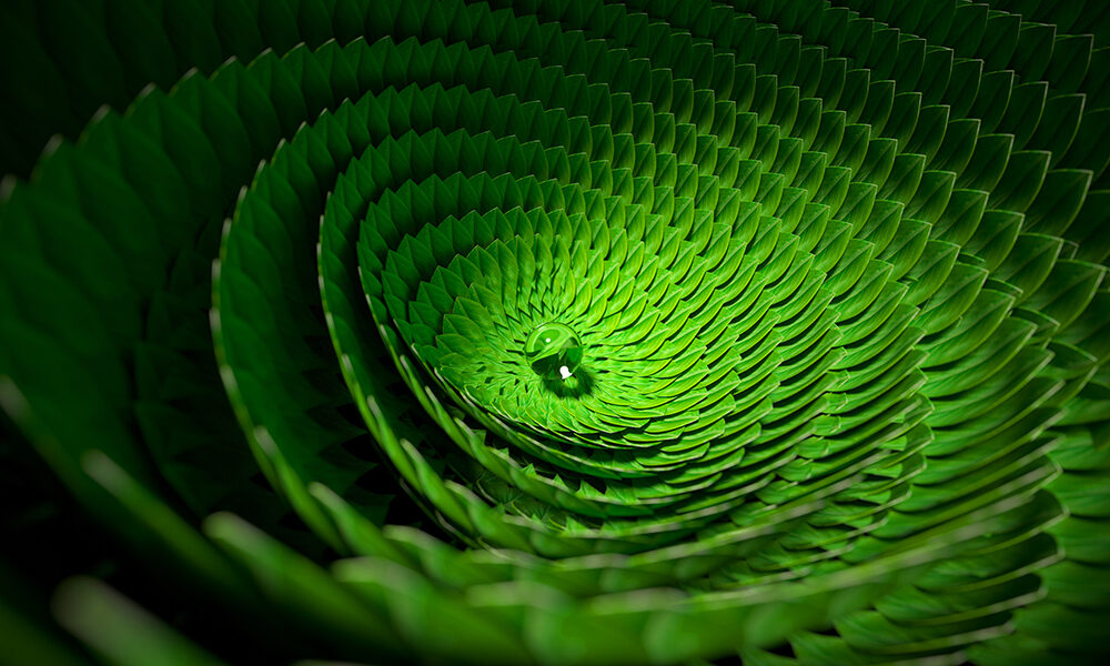 Laudate Deum: insistere per il futuro