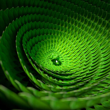 Laudate Deum: insistere per il futuro