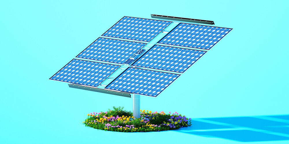 Le finte preoccupazioni ambientali