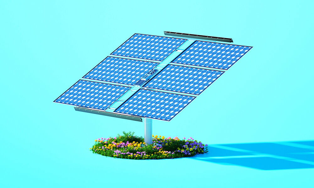 Le finte preoccupazioni ambientali