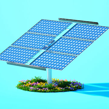 Le finte preoccupazioni ambientali