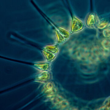 L’ingegneria climatica ci salverà