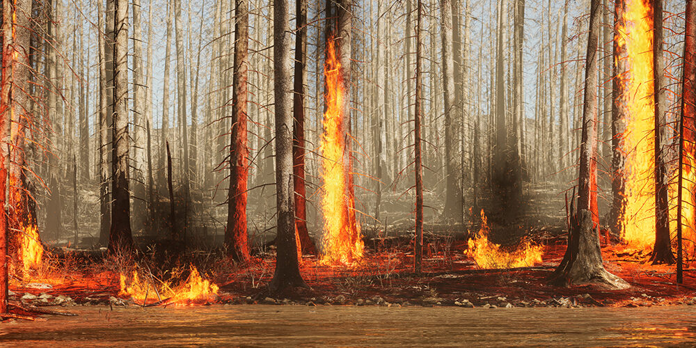 L’umanità nel Pirocene