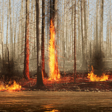 L’umanità nel Pirocene