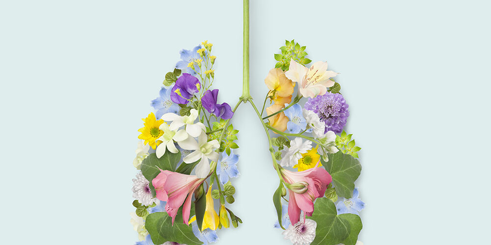 Clima: cosa dobbiamo fare nel 2024