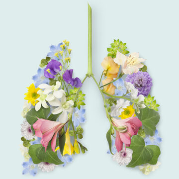 Clima: cosa dobbiamo fare nel 2024