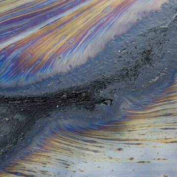 L’ecocidio diventerà un reato?