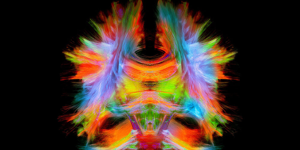 Human Brain Project: il futuro della mente è digitale?