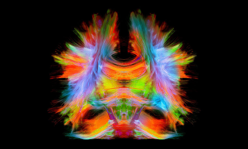 Human Brain Project: il futuro della mente è digitale?